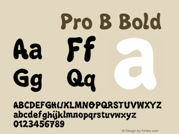 小塚ゴシック Pro B Bold Version.1 2009 Font Sample