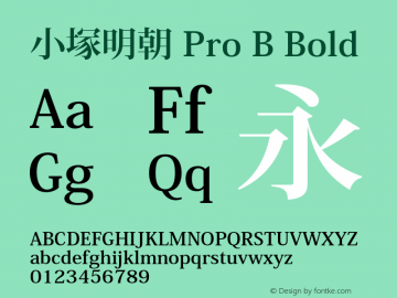 小塚明朝 Pro B Bold Version 4.000;PS 4;Core 1.0.38;makeotf.lib1.7.12746图片样张