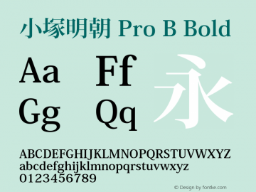 小塚明朝 Pro B Bold OTF 1.013;PS 1.01;Core 1.0.29;makeotf.lib1.4.0图片样张