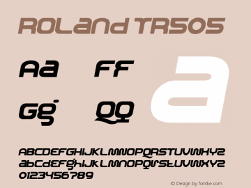 Roland TR505 Version 001.000 Font Sample