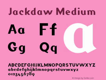 Jackdaw Medium Version 001.000图片样张