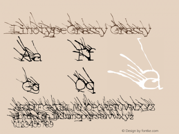 LinotypeGrassy Grassy Version 005.000图片样张