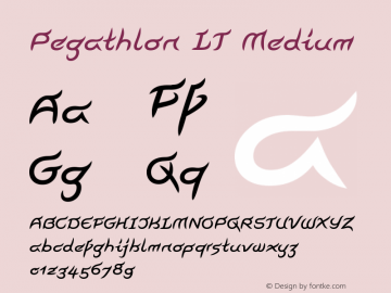 Pegathlon LT Medium Version 001.001图片样张