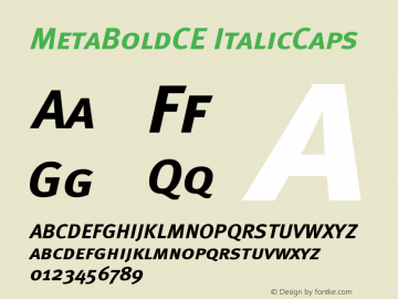 MetaBoldCE ItalicCaps Version 001.000图片样张