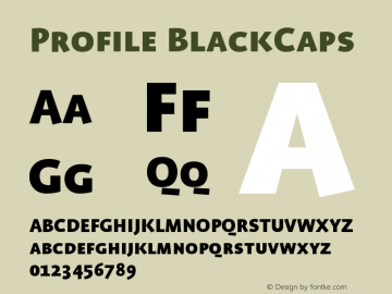 Profile BlackCaps Version 001.000图片样张