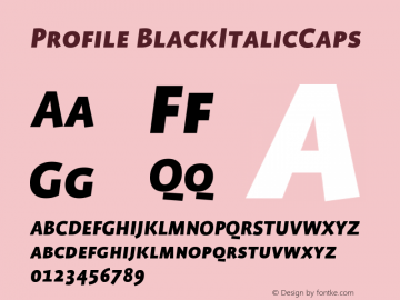 Profile BlackItalicCaps Version 001.000图片样张