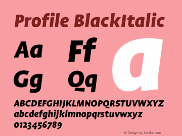 Profile BlackItalic Version 001.000图片样张