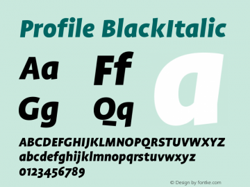 Profile BlackItalic Version 001.000图片样张