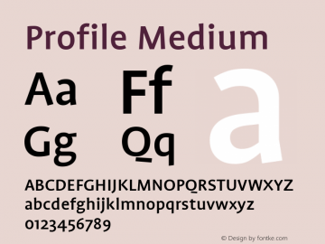 Profile Medium 001.000图片样张