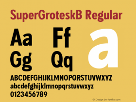 SuperGroteskB Regular 001.000图片样张