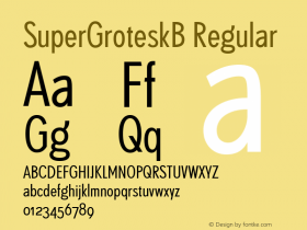 SuperGroteskB Regular 001.000图片样张