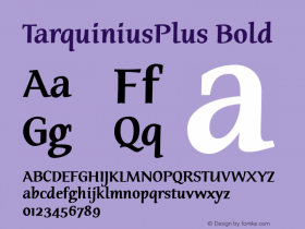 TarquiniusPlus Bold 001.000图片样张