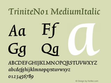 TriniteNo1 MediumItalic Version 001.000 Font Sample