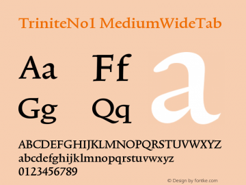 TriniteNo1 MediumWideTab Version 001.000 Font Sample