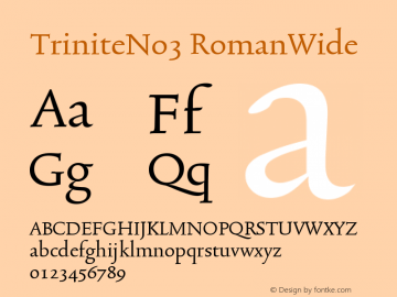 TriniteNo3 RomanWide Version 001.000 Font Sample