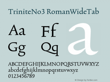 TriniteNo3 RomanWideTab Version 001.000图片样张