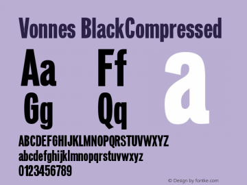 Vonnes BlackCompressed Version 001.000图片样张