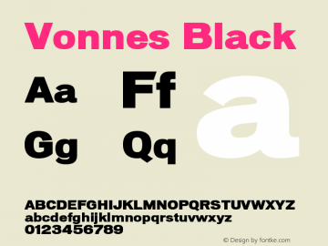 Vonnes Black Version 001.000图片样张