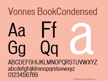 Vonnes BookCondensed Version 001.000图片样张