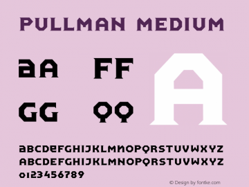 Pullman Medium 001.000图片样张