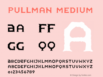 Pullman Medium 001.000图片样张