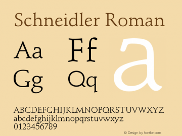 Schneidler Roman Version 003.001图片样张