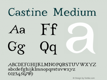 Castine Medium Version 001.000 Font Sample