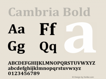 Cambria Bold Version 5.96 Font Sample