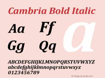 Cambria Bold Italic Version 5.99图片样张