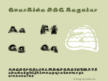 OverRide DSG Regular Version 1.00 February 5, 2006, initial release图片样张