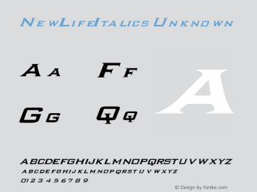 NewLifeItalics Unknown . 25 03 01图片样张