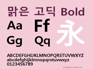 맑은 고딕 Bold Version 6.22图片样张