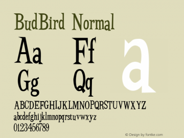 BudBird Normal Macromedia Fontographer 4.1 11/1/97 Font Sample