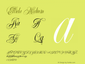 Ellida Medium Unknown图片样张