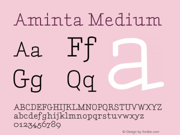 Aminta Medium Version 001.000 Font Sample