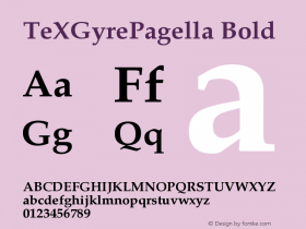 TeXGyrePagella Bold Version 2.004图片样张