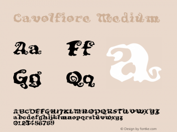 Cavolfiore Medium Version 001.000 Font Sample