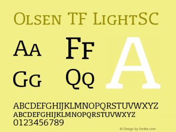 Olsen TF LightSC Version 004.301图片样张