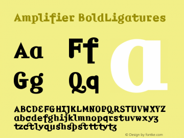 Amplifier BoldLigatures Version 001.000 Font Sample