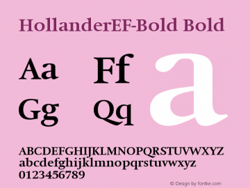 HollanderEF-Bold Bold Version 001.001图片样张