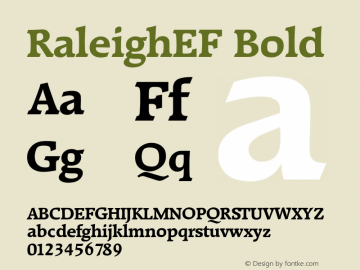 RaleighEF Bold OTF 1.000;PS 001.000;Core 1.0.29图片样张