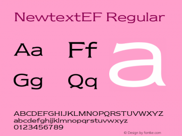 NewtextEF Regular Version 1.00图片样张