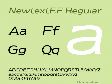 NewtextEF Regular Version 1.00 Font Sample