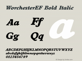 WorchesterEF Bold Italic OTF 1.000;PS 001.000;Core 1.0.29图片样张