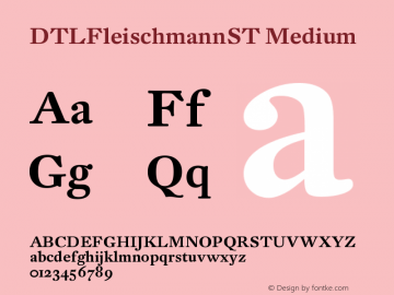 DTLFleischmannST Medium Version 003.000图片样张