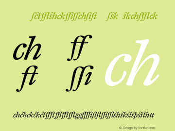 DTLFleischmannT AltItalic Version 001.000 Font Sample