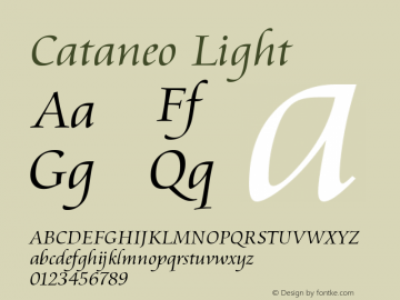 Cataneo Light Version 003.001图片样张