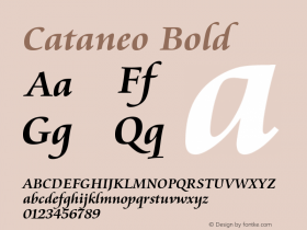 Cataneo Bold Version 003.001图片样张