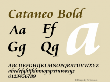 Cataneo Bold Version 003.001 Font Sample
