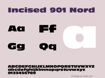 Incised 901 Nord Version 003.001图片样张